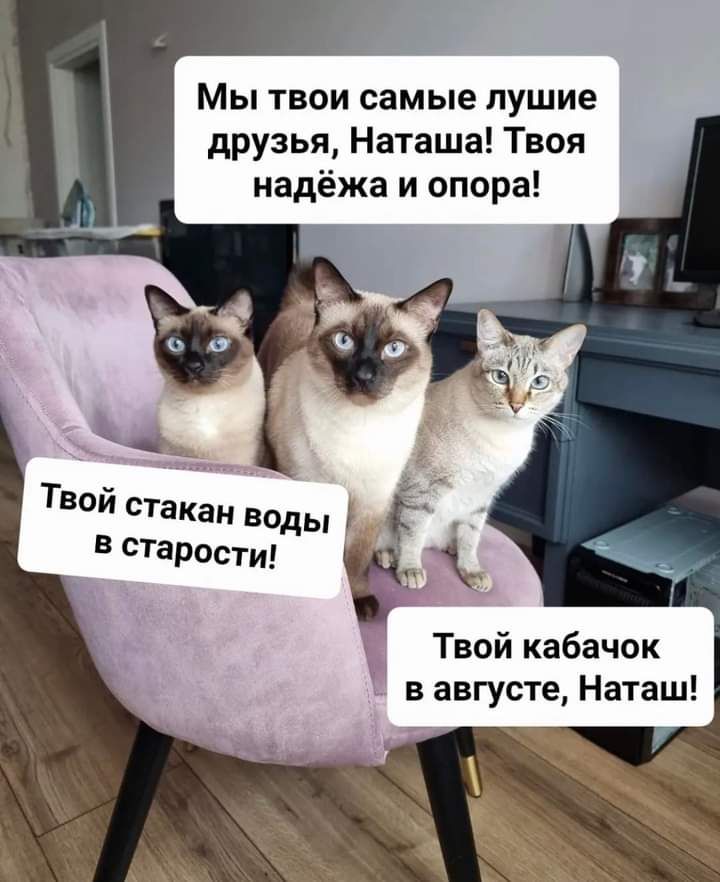 Мы ТВОИ самые УШИБ друзья Наташа Твоя иадёжа и опора ТВОЙ стакан воды А грести Твой кабачок в августе Наташ