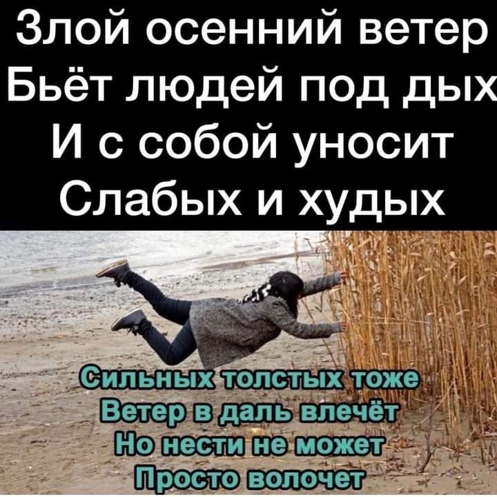 Злой осенний ветер Бьёт людей под дых И с собой уносит Слабых и худых