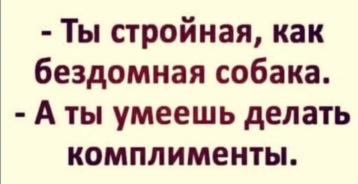 Ты стройная как бездомная собака А ты умеешь делать комплименты