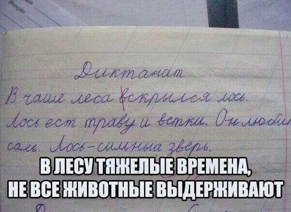 Ыі1хЛ там Маріятик ИСЁжЪе тыщ ы Сом _ вишни ЕЦ 1ЬШі 1Пл ддт г