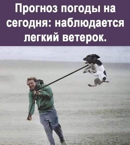 Прогноз погоды на сегодня наблюдается легкий ветерок