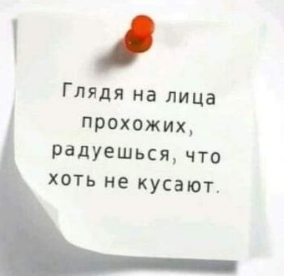 ГЛЯдя на лица Похожих радуешься что хоть не кусают