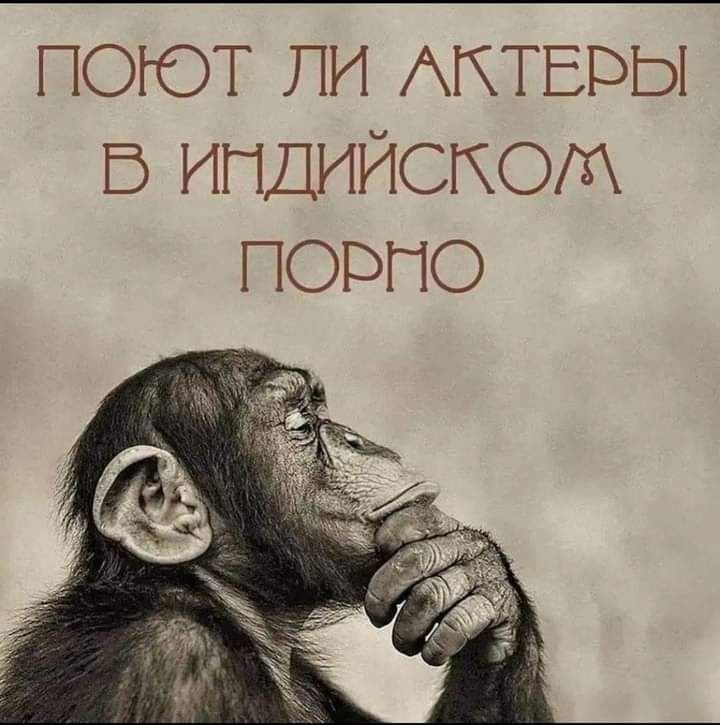 поют ли АКТЕРЫ Б индийском порто