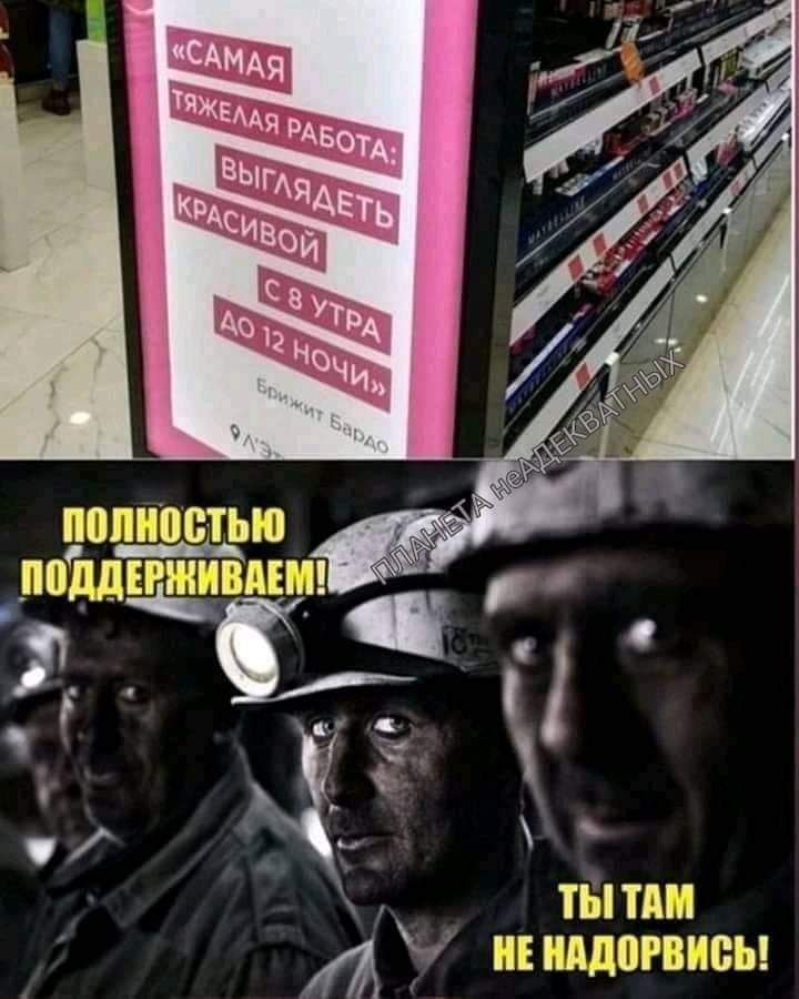 ты И щиты