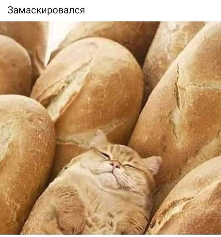 замаскировапся
