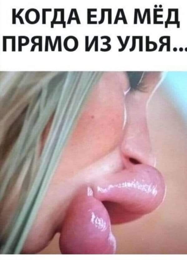 КОГДА ЕЛА МЁД ПРЯМО ИЗ УЛЬЯ