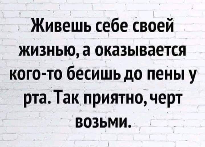 Живешь себе своей жизнью а оказывается кого то бесишь до пены у ртаТак приятночерт возьми