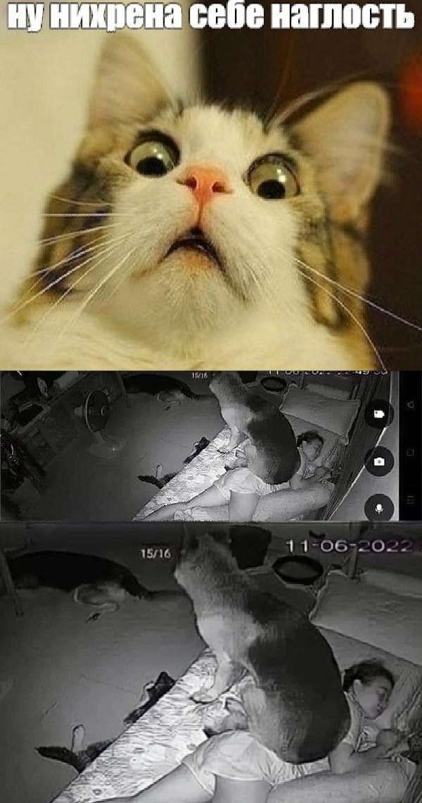 ши