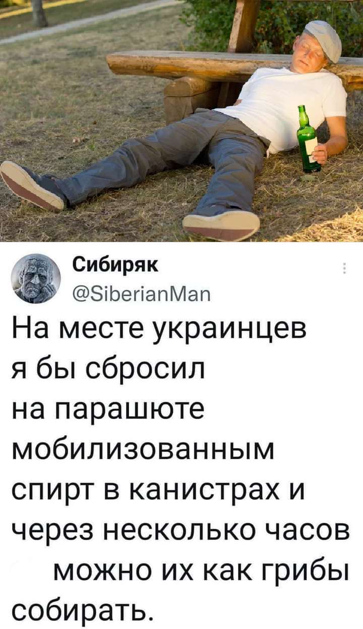 Сибиряк ЗіЬегіапМап На месте украинцев я бы сбросил на парашюте мобилизованным спирт в канистрах и через несколько часов можно их как грибы собирать