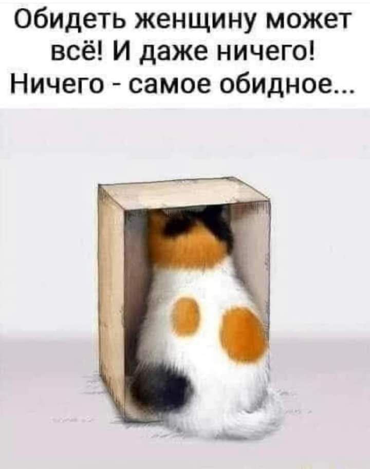 Обидеть женщину может всё И даже ничего Ничего самое обидное