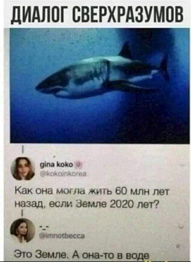 ЛИАЛПГ СВЕРХРАЗУМПВ г 9 июнь Как она мыл жить 60 млн лет назад если Земле 2020 лет