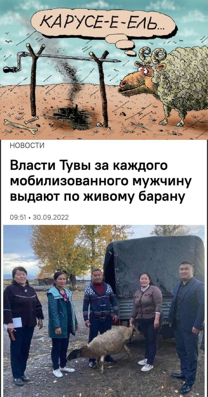 КА РУСЕ ЕЕАЬ НОВОСТИ Власти Тувы за каждого мобилизованного мужчину выдают по живому барану