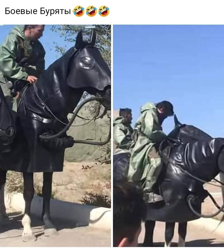 Боевые Буряты и д