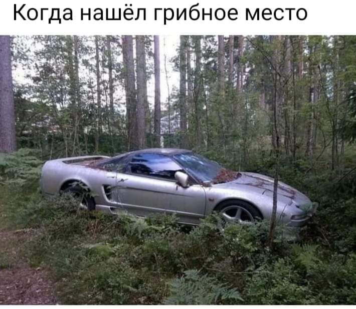 Когда нашёл грибное место
