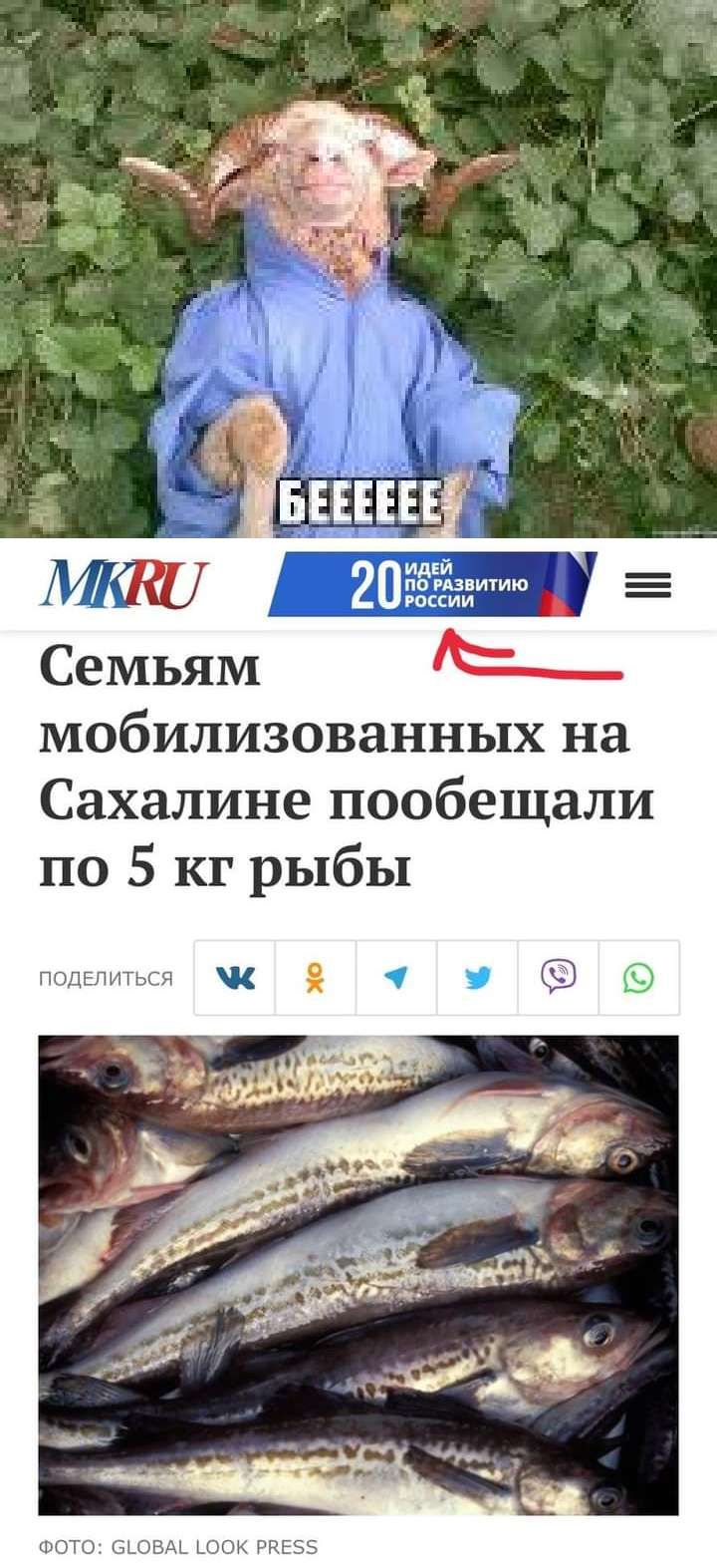 мы на шпитию шии Семьям МОбИЛИЗОВНННЬПХ на Сахалине пообещали по 5 кг рыбы