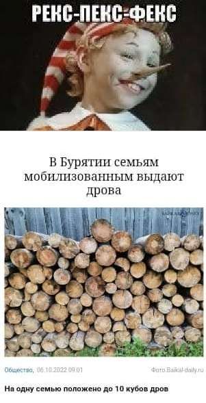 В Бурятии семьям мобпшгзоваъшьш вьщают дрова На одну семью положено до Ш кубвв дров