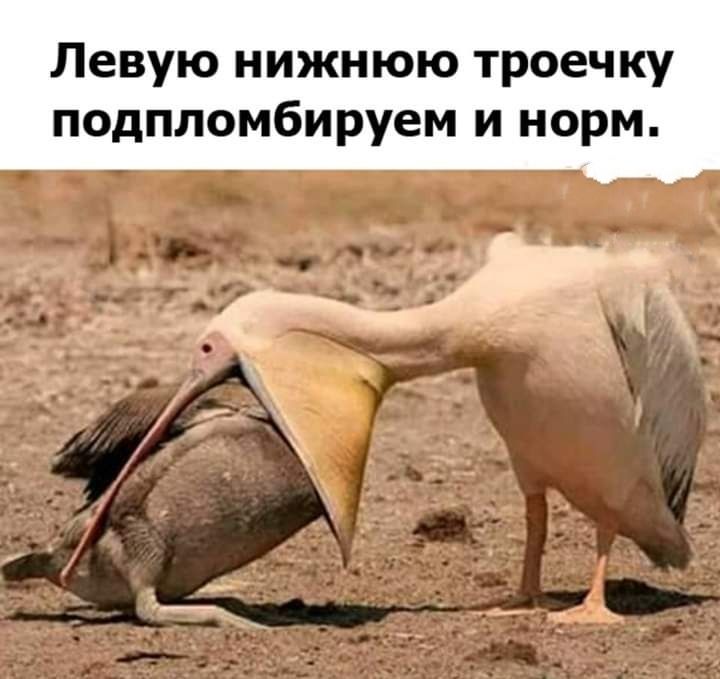 Левую нижнюю троечку подпломбируем и норм