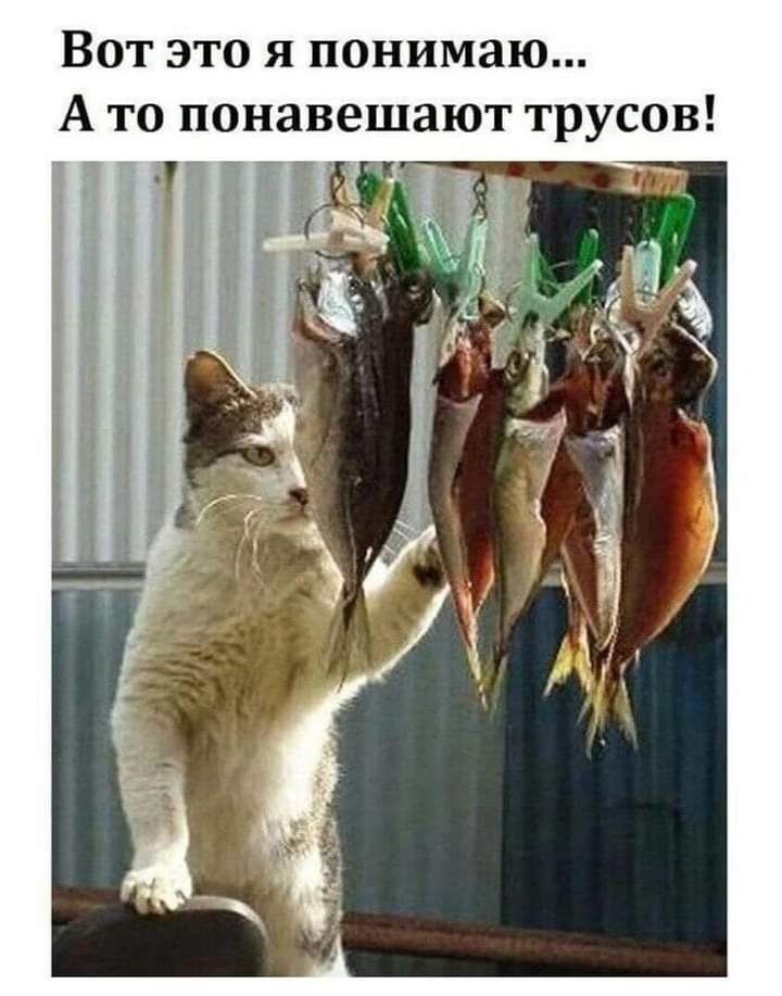 Вот это я понимаю А то понавешают трусов Т