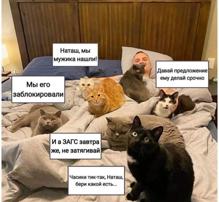 н мужи д мм и д ц Мы его заблпкировали и а зАгс ввпра же не зшягивай ч и