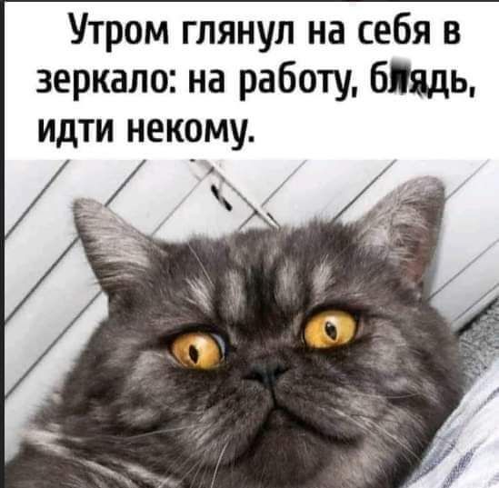 Утром глянул на себя в зеркало на работу бПядь идти некому _