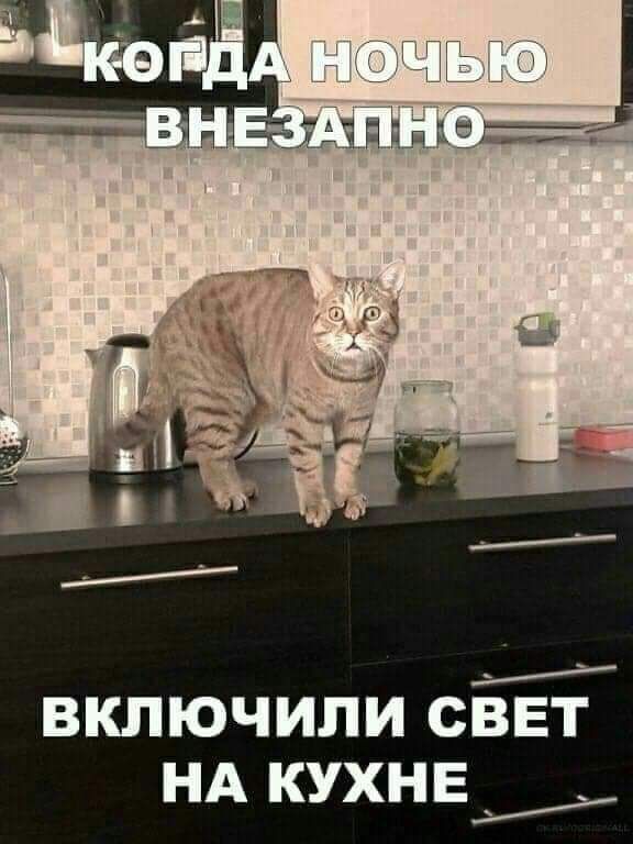включили СВЕТ нд кухне
