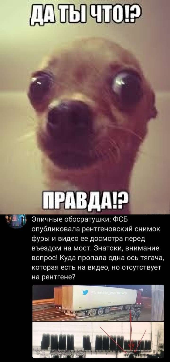 Эпичные обосратуіцки ФСБ опубликовала рентгеновский снимок фуры и видео ее досмотра перед въездом на мост Знатоки внимание вопрос Куда пропала одна ось тягача КОТОрЭЯ есть на видео НО ОТСУТСТВУЕТ на рентгене