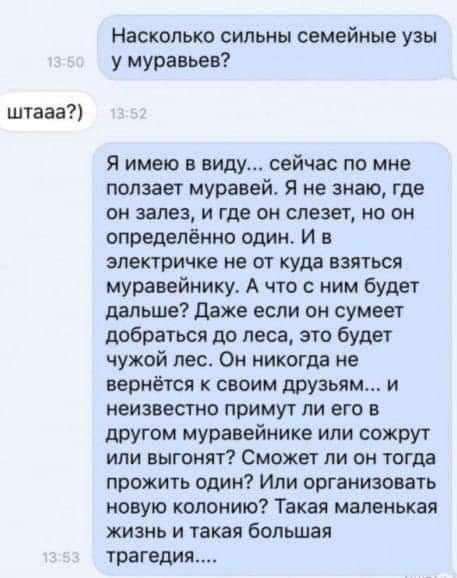 штааа Насколько сильны семейные узы у муравьев Я имею в виду сейчас по мне ползает муравей я не знаю где он залез и где он влезет но он определённо один И в электричке не от куда взяться муравейнику А что с ним будет дальше Даже если он сумеет добраться до леса это будет чужой лес Он никогда не вернётся своим друзьям и неизвестно примут ли его в другом муравейнике или сожрут или выгонят Сможет ли 