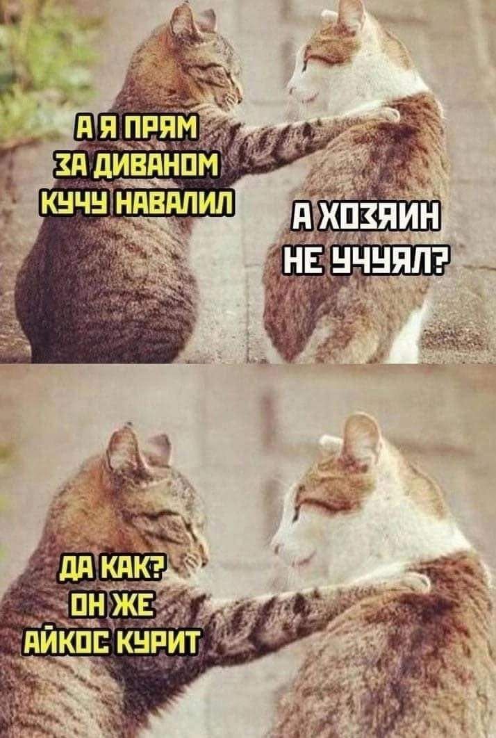 _ г 4 зп дининпм