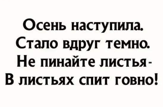 Осень наступила Стало ВдРУг темно Не пинайте листья В листьях спит говно