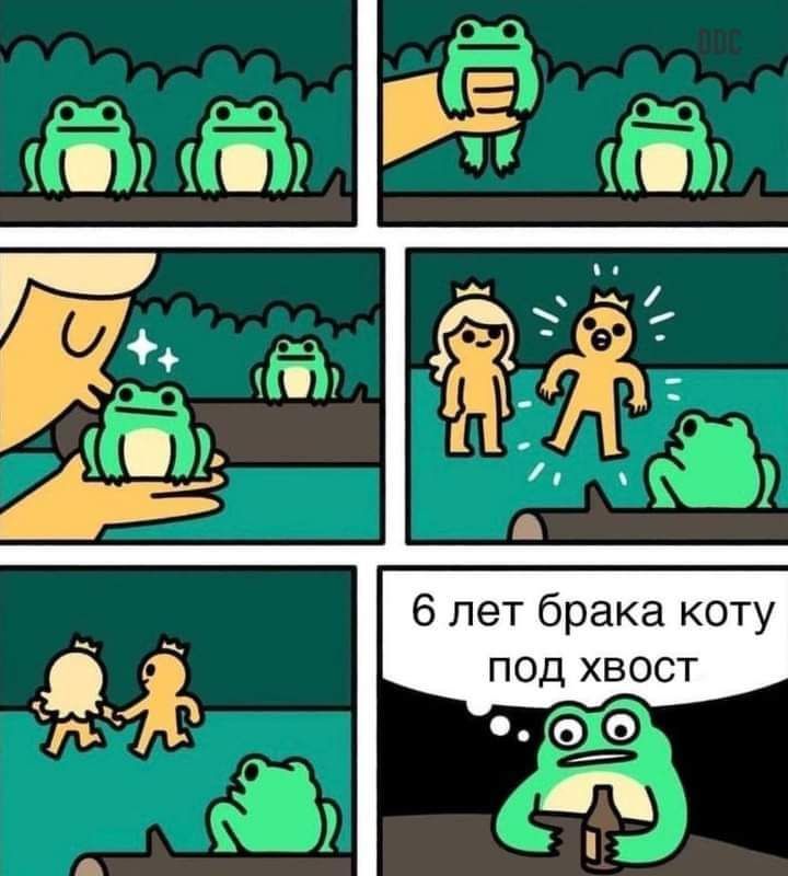 6 лет брака коту ПОД ХВОСТ А