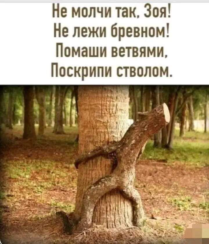 Не молчи так Зоя Не лежи бревном Помаши ветвями Поскрипи стволом