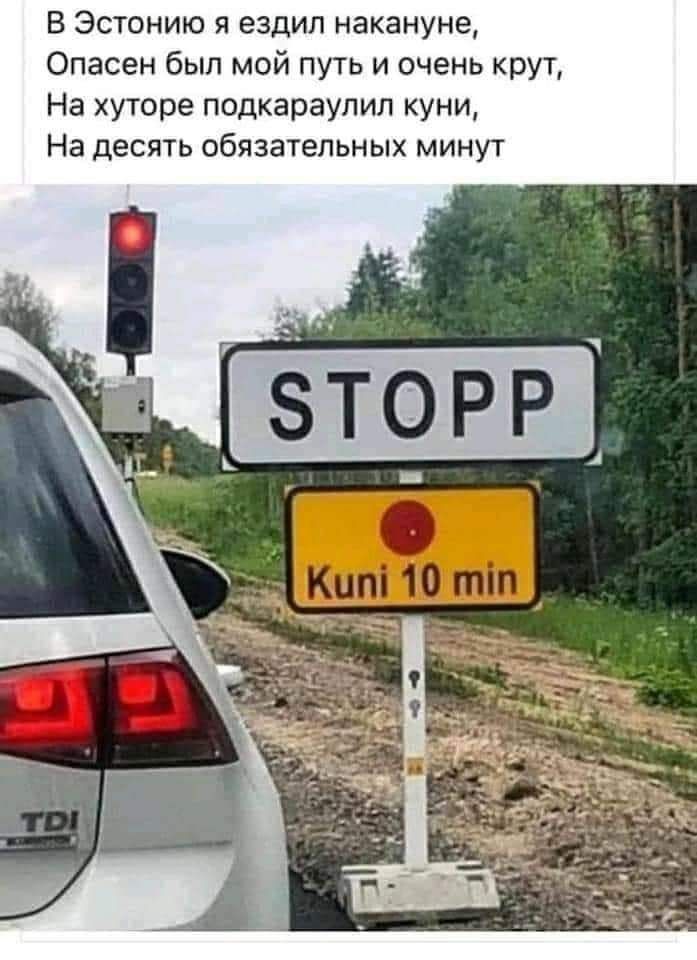 В Эстонию я ездил накануне Опасен был мой путь и очень крут На хуторе подкараулил куни На десять обязательных минут