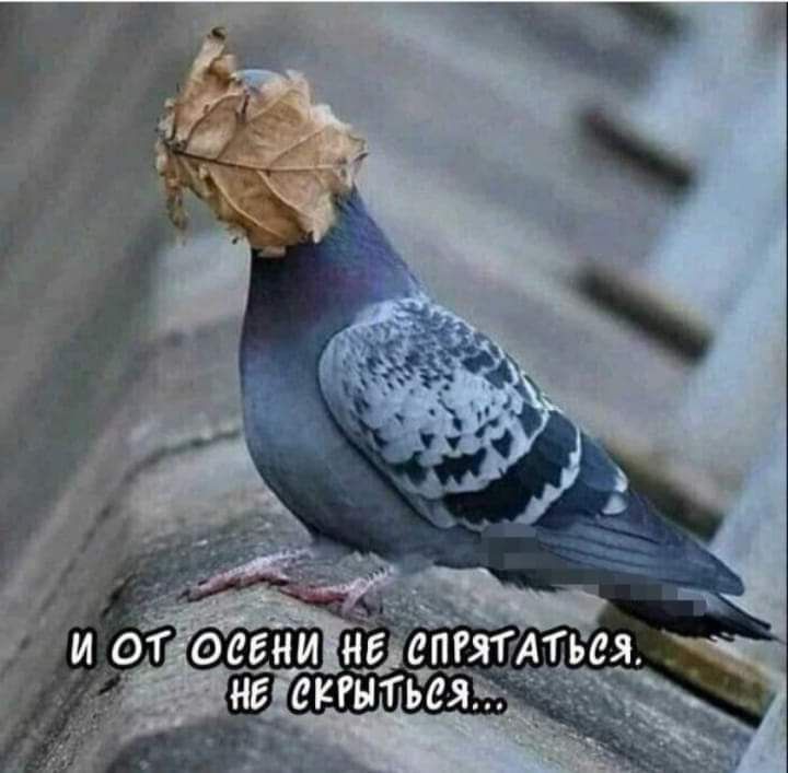 е еПРЯТАТЬ 17 С С5 У З ЕЬ СЕ