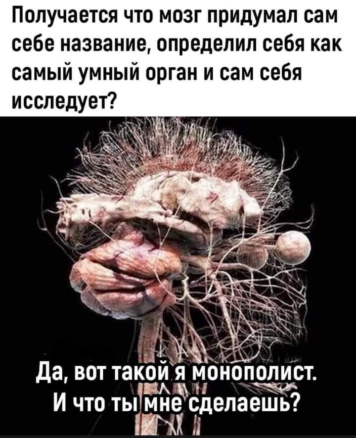 Получается что мозг придумал сам себе название определил себя как самый умный орган и сам себя исследует Да вот таке я И что ты мн дд