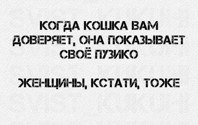 КОГДА КОШКА ВАМ ДОВЕРЯЕТ О_НА ПОКАЗЫВАЕТ СВОЕ ПУЗИКО ЖЕі ЩИРЬі КСТАТИ ТОКЕ