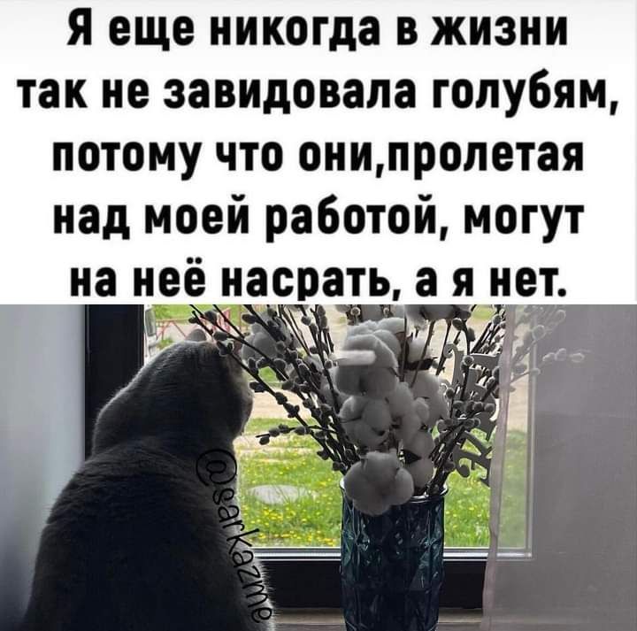 я еще никогда в жизни так не завидовала голубям потому что оиипролетая над моей работой могут на не насрать а Я НВТ а тт _