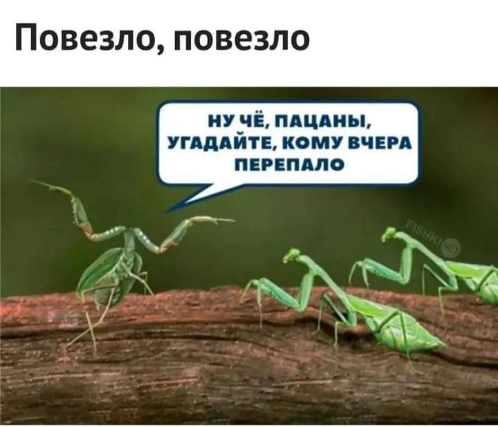угдддйтв кому в и ПЕРЕПАЛО