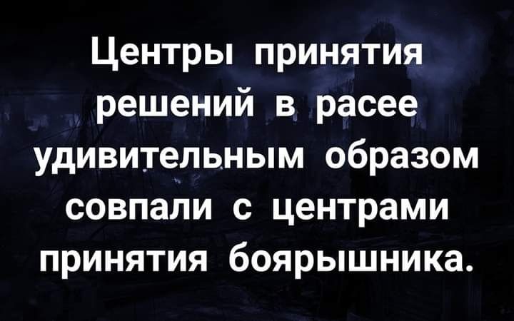 Центры принятия решений в расее удивительным образом совпали с центрами принятия боярышника