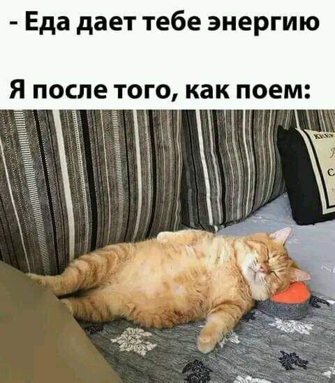 Еда дает тебе энергию Я после того как поем
