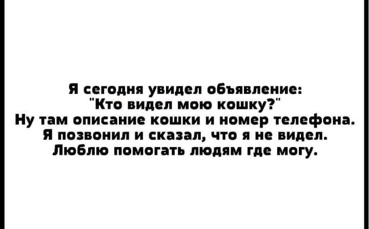 я иголки увидел оБп пеиис Кто видел мои кашку ну ни описание кошки и номер минфина поз опия и снип что ив пидвп Люблю помога пишим гп могу