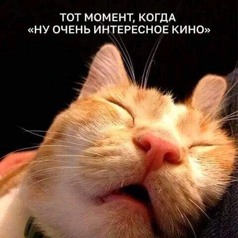 ТОТ МОМЕНТ КОГДА НУ ОЧЕНЬ ИНТЕРЕСНОЕ КИНО