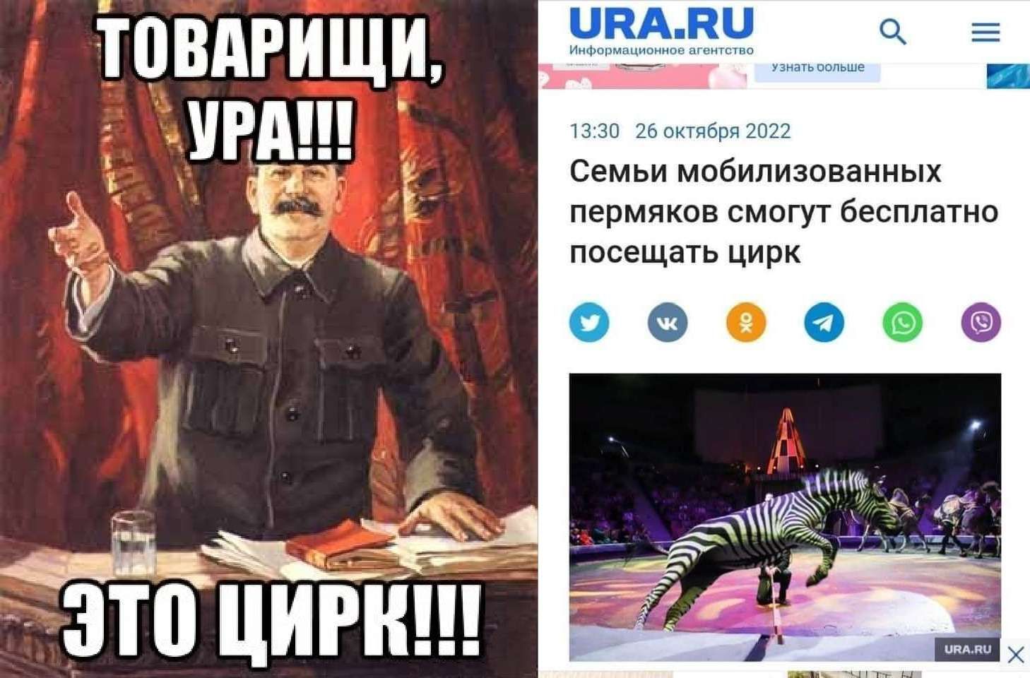 товдгищи ии Семьи мибипизоваииых перми смогут бесплатно посещать цирк і 0 С