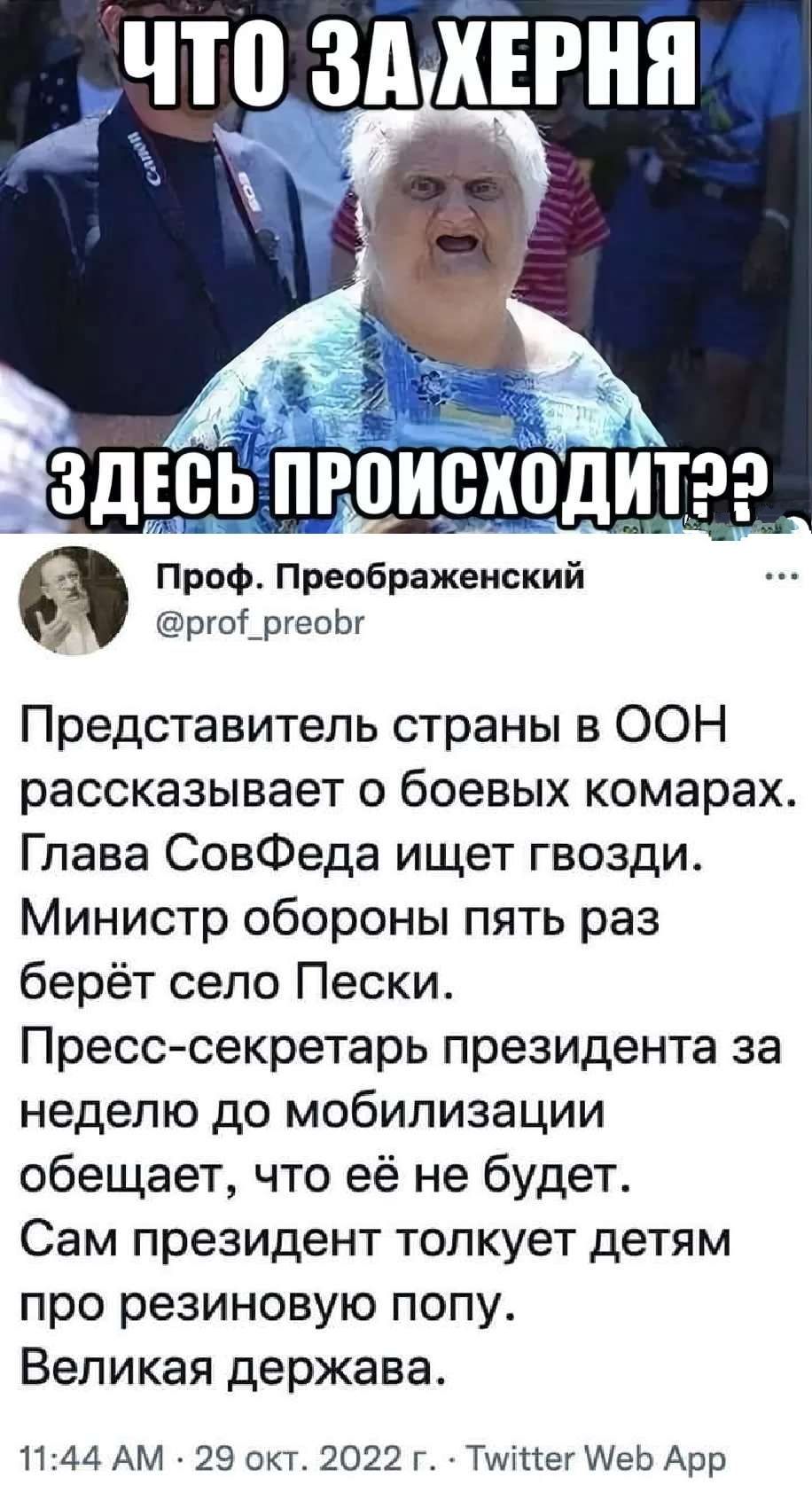 ЧЮ зд ХЕРНЯЧ Проф Преображенский ргоі_русоЬг Представитель страны в ООН рассказывает 0 боевых комарах Глава СовФеда ищет гвозди Министр обороны пять раз берёт село Пески Пресс секретарь президента за неделю до мобилизации обещает что её не будет Сам президент толкует детям про резиновую попу Великая держава 1144 АМ 29 окт 2022 г Тшіпег МеЬ Арр