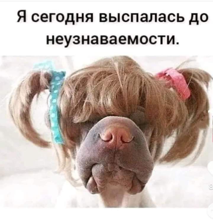 Я сегодня выспалась до неузнаваемости