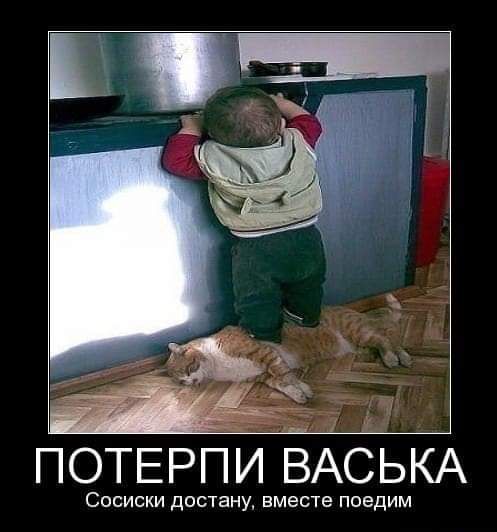 ПОТЕРПИ ВАСЪКА Сосиски достану вместе поедим