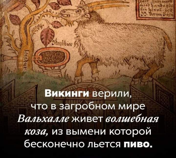 пикши и верили что в загробном мире Вмьхаме живет волшебная коза из вымени которой бесконечно льется пиво
