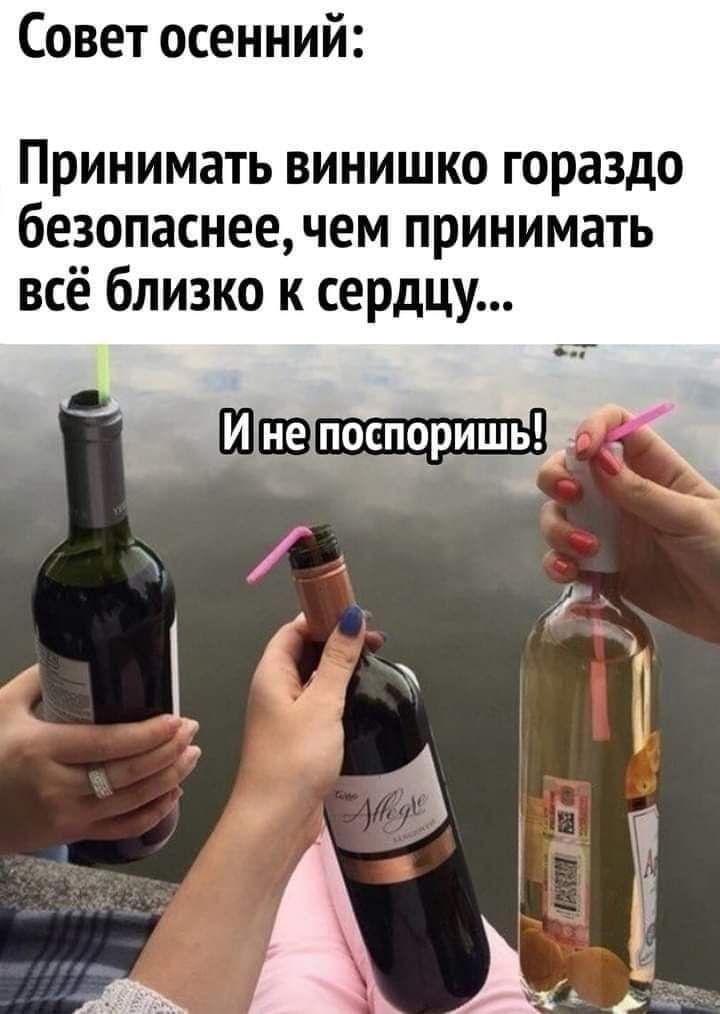 Совет осенний Принимать винишко гораздо безопаснее чем принимать всё близко к сердцу ті у