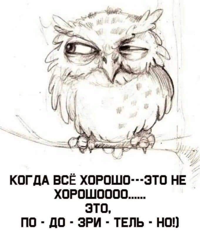 КОГДА ВСЁ ХОРОШО ЭТО НЕ ХПРОШООПО ЭТО ПО дП ЗРИ ТЕЛЬ НО