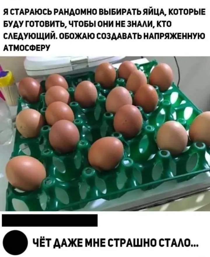 Я СТАРАЮСЬ РЩОМНО ВЫБИРАТЬ ЯЙЦА КОТОРЫЕ БУАУ ГОТПВИТЬ ЧТОБЫ ОНИ НЕ ЗНМИ КТО САЕАУЮЩИЙ ПБОЖАЮ СОЗАТЬ НАПРЯЖЕННУЮ АТИОСФЕРУ ЧЁТМЖЕ МНЕ СТРАШНО СТМО