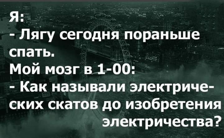 Я Лягу сегодня пораньше спать Мой мозг в 1 00 Как называли электриче ских скатов до изобретения электричества